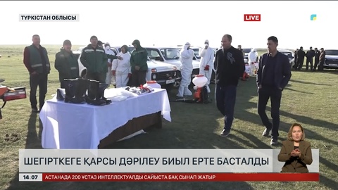 Түркістан облысында шегірткемен күрес науқаны ерте басталды