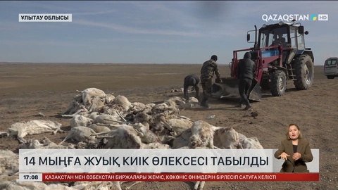 Ұлытау облысында 14 мыңға жуық киік өлексесі табылды