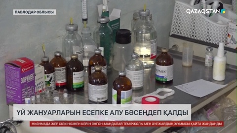 Павлодар облысында үй жануарларын есепке алу бәсеңдеп қалды