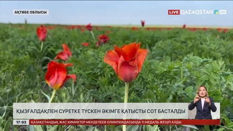 Ақтөбе облысында қызғалдақпен суретке түскен әкімге қатысты сот басталды