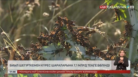 Биыл шегіртке жоюға 7,1 млрд теңге бөлінді