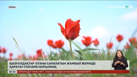 Қызғалдақтар отаны саналатын Жамбыл жерінде Қаратау геопаркі құрылмақ