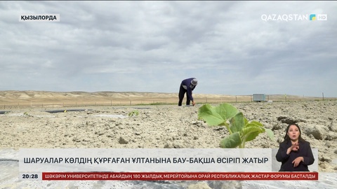 Қызылорда облысында шаруалар көлдің құрғаған ұлтанына бау-бақша өсіріп жатыр