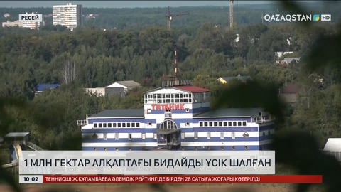 Ресейде 1 млн гектар алқаптағы бидайды үсік шалған