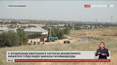Түркістан облысында 2 бүлдіршінді әжетханаға тастаған жасөспірімге мәжбүрлі түрде емдеу шарасы тағайындалды
