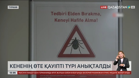 Түркияда кененің өте қауіпті түрі анықталды