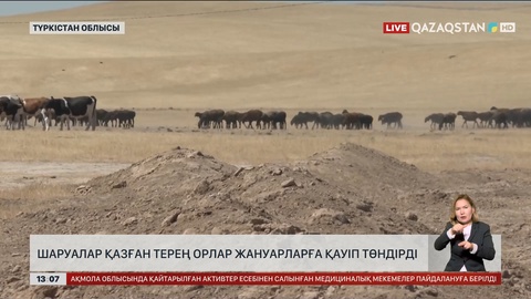 Түркістан облысында шаруалар қазған орға жануарлар түсіп өліп жатыр