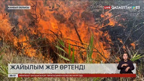 Жамбыл облысында жайылым өртенді