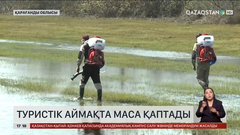 Балқаш қаласында маса қаптап кетті