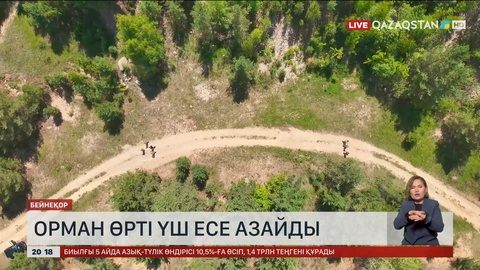 Елімізде орман өрті үш есе азайды