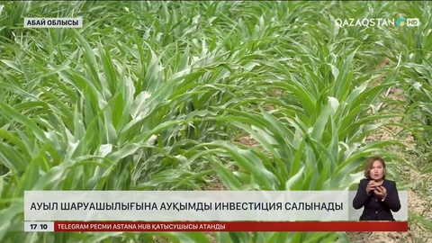 Абай облысының ауыл шаруашылығына ауқымды инвестиция тартылды