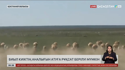 Қазақстанда тек аналық киікті атуға рұқсат берілуі мүмкін
