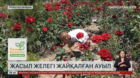 Түркістан облысында жасыл желегі жайқалған ауыл бар