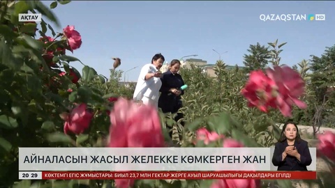 Ақтаулық тұрғын үйінің айналасына 2 мыңға жуық тал еккен