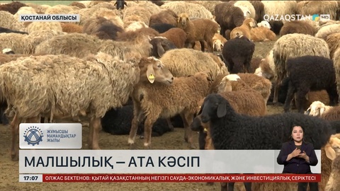 Малшылық – ата кәсіп