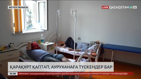 Жетісу облысында қарақұрт шаққан бір адам ауруханаға жеткізілді