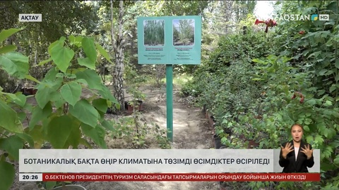 Ақтауда ботаникалық бақта өңір климатына төзімді өсімдіктер өсіріледі