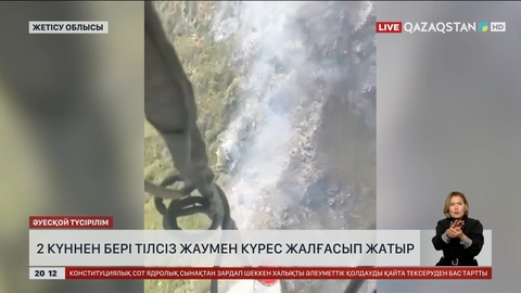 Жетісу облысында екі күннен бері тілсіз жаумен күрес жалғасуда