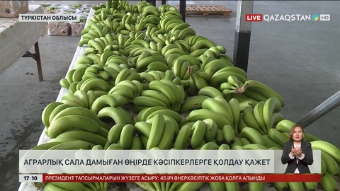 Түркістан облысындағы кәсіпкерлерге қолдау қажет