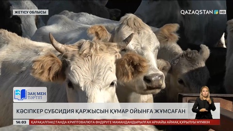 Жетісу облысындағы кәсіпкер субсидия қаржысын құмар ойынға салған