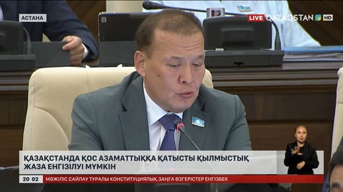 Қазақстанда қос азаматтыққа қатысты қылмыстық жаза енгізілуі мүмкін
