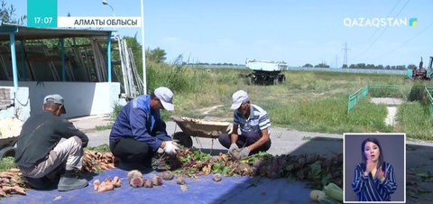 Отандық университеттерде зертханалық-тәжірибелік жұмыстарға басымдық берілмек