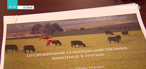 Еліміздің мал шаруашылығына Дүниежүзілік банк қолдау көрсетуге ниет білдірді