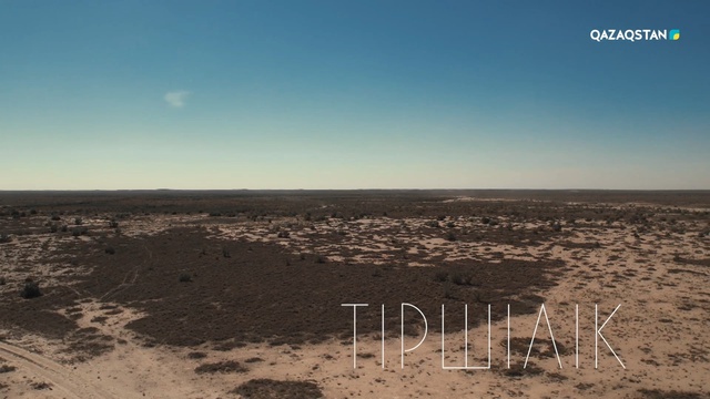 «Қызылдың құмындағы» тіршілік. Орманшы Кәдір Әлібекұлы