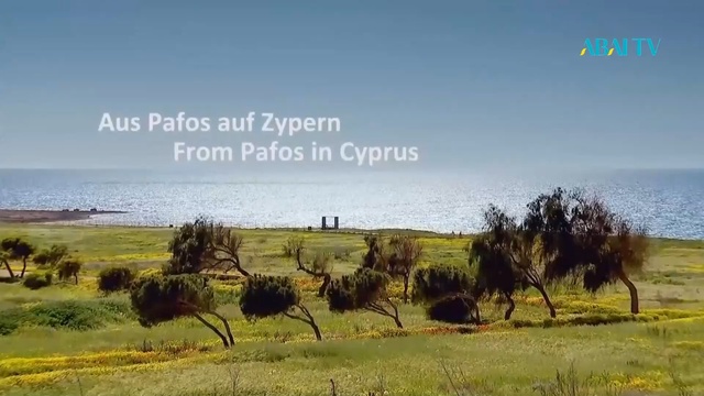 Концерт  «THE BEST OF BEETHOVEN»