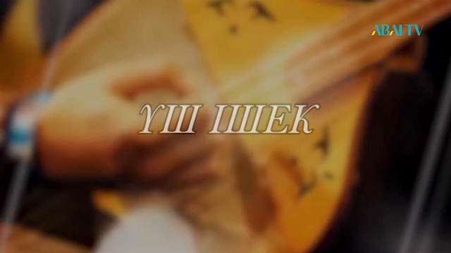 ҮШ ІШЕК.  Арнайы жоба