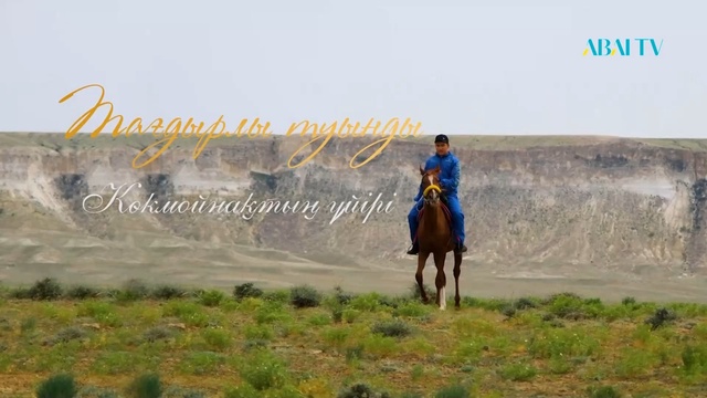 ТАҒДЫРЛЫ ТУЫНДЫ. Көкмойнақтың үйірі