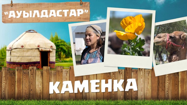 16-бағдарлама