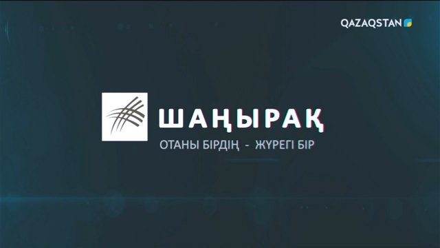 Степанова Дарья Владимировна