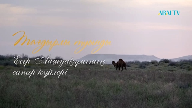 ТАҒДЫРЛЫ ТУЫНДЫ. Есір Айшуақұлы