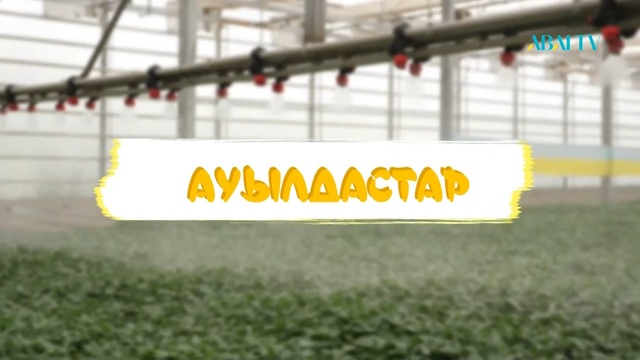 АУЫЛДАСТАР. 6-маусым. 7-бағдарлама