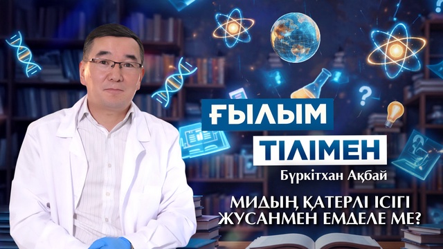 ҒЫЛЫМ ТІЛІМЕН. Бүркітхан Ақбай. МИДЫҢ ҚАТЕРЛІ ІСІГІ ЖУСАНМЕН ЕМДЕЛЕ МЕ?