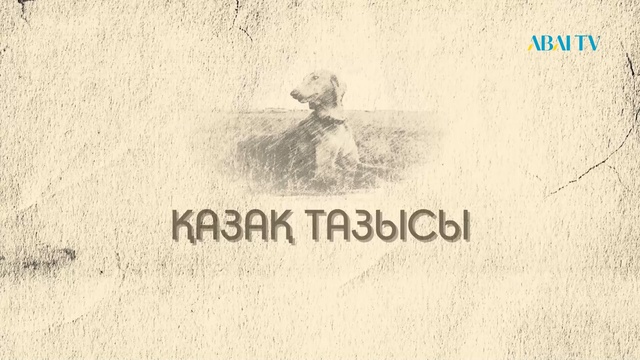 «ҚАЗАҚ ТАЗЫСЫ» деректі фильмі