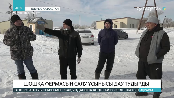 Шығыс Қазақстанда шошқа фермасын салу ұсынысы дау тудырды