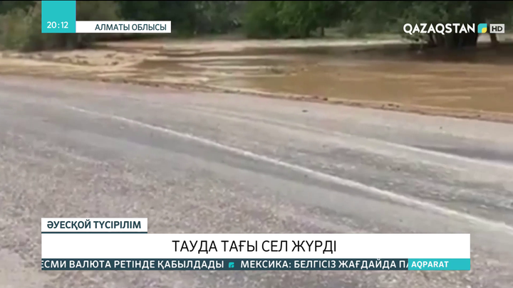 Алматы облысының тауларында сел жүрді