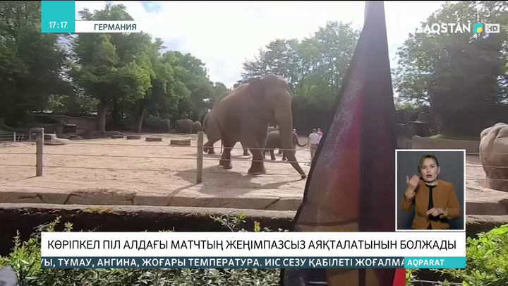 Көріпкел піл алдағы матчтың жеңімпазсыз аяқталатынын болжады