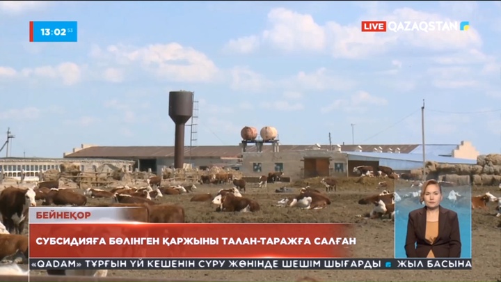 Қостанай облысында ауыл шаруашылығы субсидиясын жымқырғандар сотталды