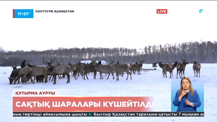 Құтырма ауруына байланысты Солтүстік Қазақстанда сақтық шаралары күшейтілді