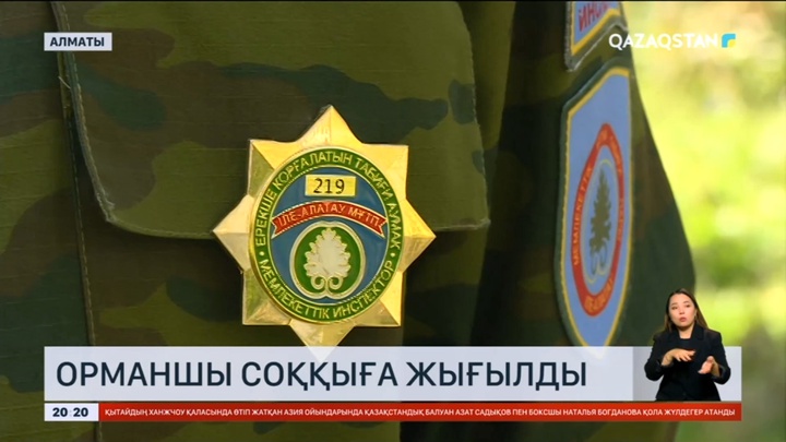 Алматыда соққыға жығылған орманшы ауруханадан үйіне шығарылды