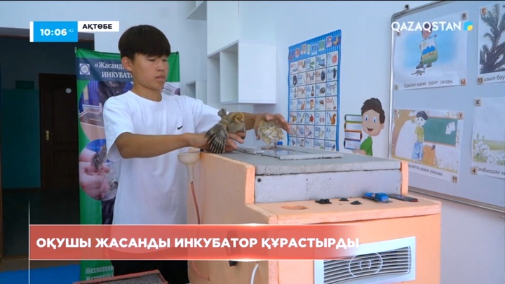 Ақтөбеде оқушы автоматтандырылған жасанды инкубатор механизмін ойлап тапты
