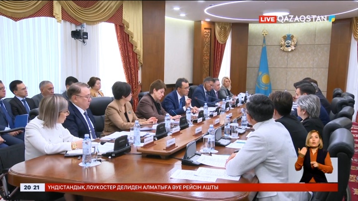 Парламент Сенатының жанынан инклюзия жөніндегі кеңес құрылады