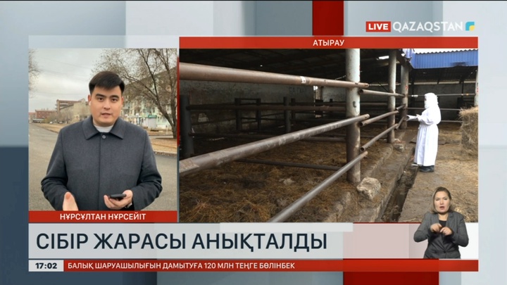 Атыраудан сібір жарасы шықты