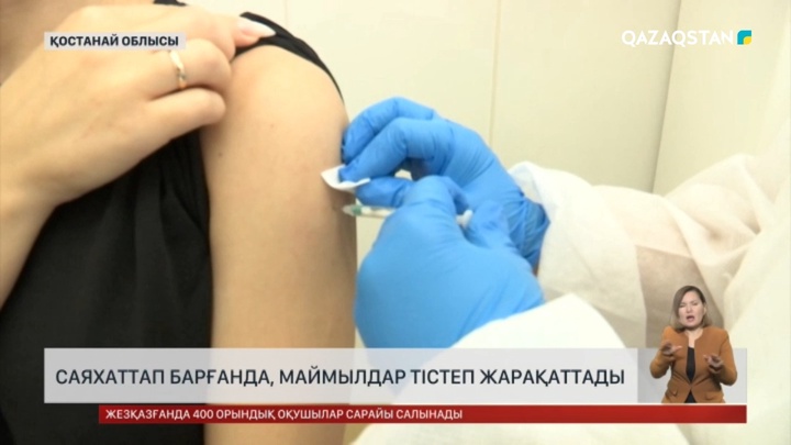 Қостанайлықтарды маймыл тістеп алған