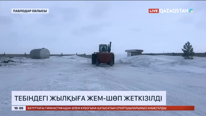 Павлодар облысында тебіндегі жылқыға жем-шөп жеткізілді