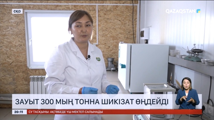 Теріскейдегі «Тайынша-май» зауыты өнімдерін экспортқа шығаруда