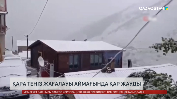 Түркияның қара теңіз жағалауы аймағында қар жауды